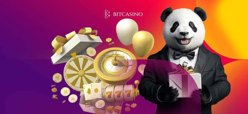 Bitcasino Sıkça Sorulan Sorular